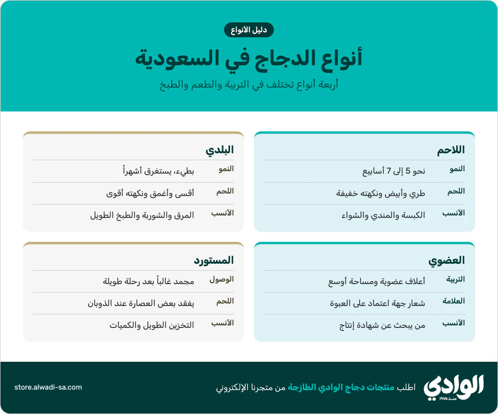 إنفوجرافيك أنواع الدجاج في السعودية: الدجاج اللاحم والدجاج البلدي والعضوي والمستورد، مدة النمو واللحم والطبخة الأنسب